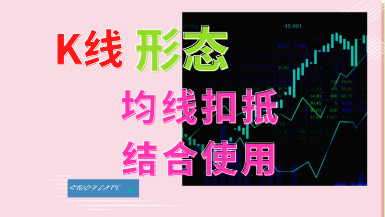 会员视频第100期