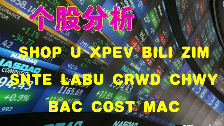 会员视频第102期