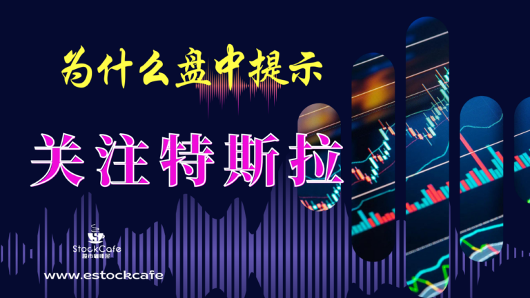 会员视频01162024