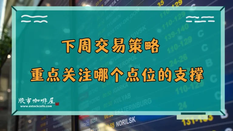 会员视频05122024