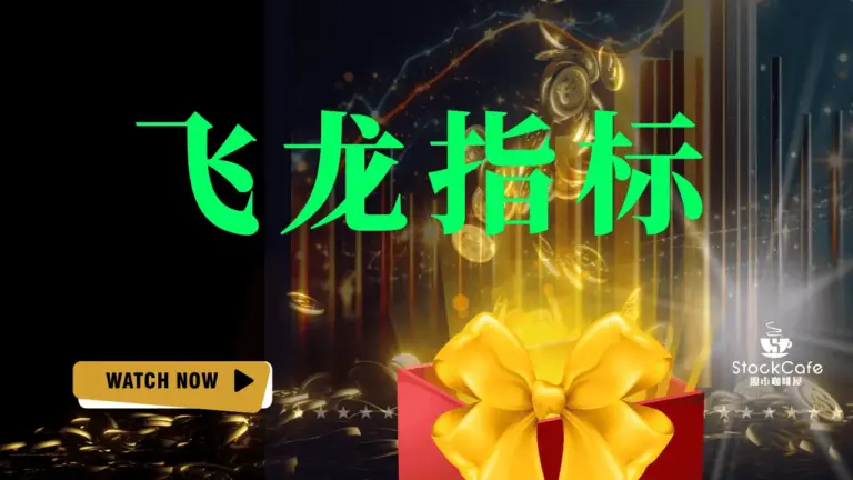 飞龙指标